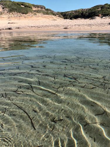 Spiaggia Porto Paglia Sardegna Gonnesa Nebida (CI)