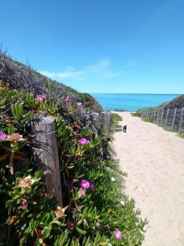Villa Olga Tanca Piras Sardegna Nebida (CI) Casa Vacanze Case Affitto Sardegna
